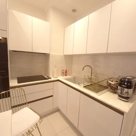 Le Lerins Apartment Antibes